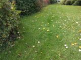 Maison à construire à Chambry (77910) 2193834-10730annonce2202506165q3E2.jpeg Maisons France Confort