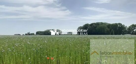 Terrain à bâtir à Sainte-Marie-des-Champs, Normandie