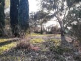 Maison à construire à Vidauban (83550) 2197188-10295annonce220250221X59dG.jpeg Maisons France Confort