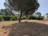 Terrain à bâtir à Fréjus (83600) 2197944-9270annonce32025061992V9u.jpeg Maisons France Confort