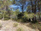 Terrain à bâtir à Salernes (83690) 2197886-9911annonce220250619S39Uz.jpeg Maisons France Confort