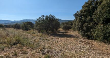 Rustrel Terrain à bâtir - 2141356-2970annonce120250425NZtXz.jpeg Maisons France Confort