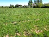 Terrain à bâtir à Bergerac (24100) 2198197-11103annonce1202506191M9mf.jpeg Maisons France Confort