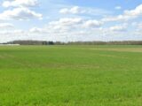 Terrain à bâtir à Douvrin (62138) 2196014-1807annonce220250618xMCU4.jpeg Maisons France Confort