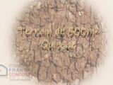 Maison à construire à Quissac (30260) 2199757-3243annonce120250620APZCw.jpeg Maisons France Confort