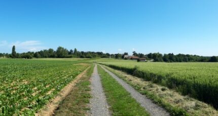Boullay-les-Troux Terrain à bâtir - 2199364-10686annonce1202506203zZvT.jpeg Maisons France Confort