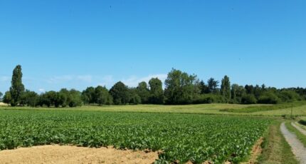 Boullay-les-Troux Terrain à bâtir - 2199364-10686annonce220250620vxbLC.jpeg Maisons France Confort