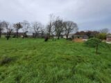 Terrain à bâtir à Génissac (33420) 2200048-11293annonce120250620c9fOI.jpeg Maisons France Confort