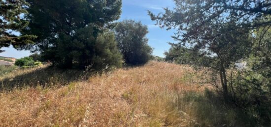 Terrain à bâtir à , Hérault