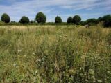 Terrain à bâtir à Étampes (91150) 2198698-10730annonce220250620HV5nV.jpeg Maisons France Confort
