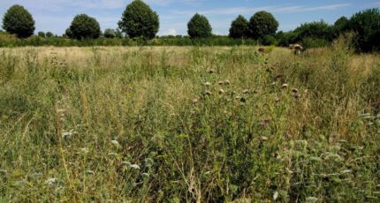 Étampes Terrain à bâtir - 2198698-10730annonce220250620HV5nV.jpeg Maisons France Confort