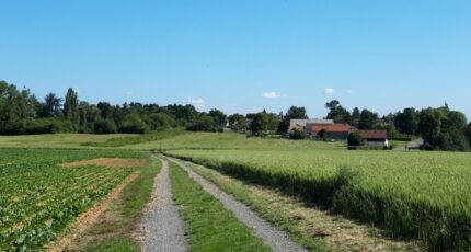 Boullay-les-Troux Terrain à bâtir - 2200493-10686annonce220250621hwxIQ.jpeg Maisons France Confort