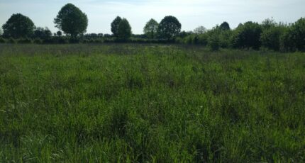 Arpajon Maison neuve - 2200527-10730annonce320250621TJo0M.jpeg Maisons France Confort