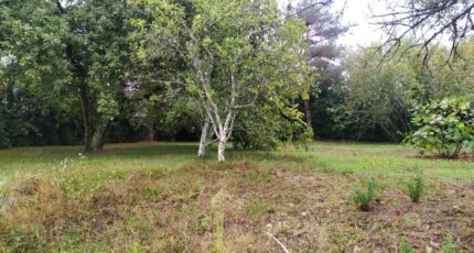 La Brède Terrain à bâtir - 2200618-11141annonce220250621AB70i.jpeg Maisons France Confort