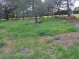 Terrain à bâtir à La Seyne-sur-Mer (83500) 2200877-11041annonce220250622b71LZ.jpeg Maisons France Confort