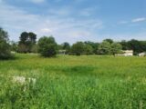 Terrain à bâtir à Bazas (33430) 2198907-9573annonce120250620wbdP4.jpeg Maisons France Confort