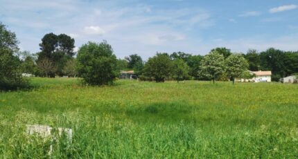 Bazas Terrain à bâtir - 2198907-9573annonce120250620wbdP4.jpeg Maisons France Confort