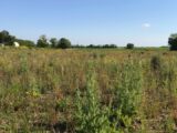 Terrain à bâtir à Le Gua (17600) 2198787-11452annonce220250620L05Ev.jpeg Maisons France Confort