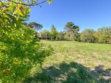 Maison à construire à Barjac (30430) 2201417-11001annonce120250623twdsI.jpeg Maisons France Confort