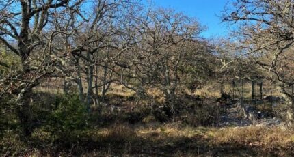 Array Terrain à bâtir - 2201443-11001annonce220250623JUUVk.jpeg Maisons France Confort
