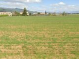 Terrain à bâtir à Les Mées (04190) 2110087-7050annonce120250318tdhX9.jpeg Maisons France Confort