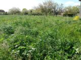 Maison à construire à Larra (31330) 2199458-9555annonce120250620y9mLE.jpeg Maisons France Confort