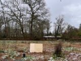 Terrain à bâtir à Saint-Caprais-de-Bordeaux (33880) 2201814-1803annonce120250623lBxCU.jpeg Maisons France Confort