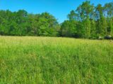 Terrain à bâtir à Julienne (16200) 2201993-11268annonce120250623vduDy.jpeg Maisons France Confort