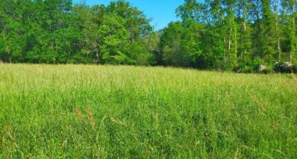 Julienne Terrain à bâtir - 2201993-11268annonce120250623vduDy.jpeg Maisons France Confort