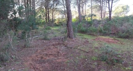 Puget-sur-Argens Maison neuve - 2202053-11157annonce320250623XeDOd.jpeg Maisons France Confort