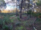 Terrain à bâtir à Puget-sur-Argens (83480) 2202050-11157annonce220250623GPchs.jpeg Maisons France Confort