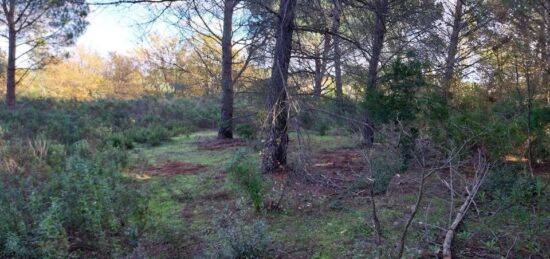 Terrain à bâtir à , Var