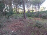 Terrain à bâtir à Puget-sur-Argens (83480) 2202050-11157annonce320250623XeDOd.jpeg Maisons France Confort