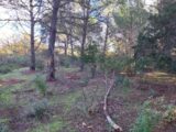 Terrain à bâtir à Puget-sur-Argens (83480) 2202050-11157annonce420250623LNkrT.jpeg Maisons France Confort