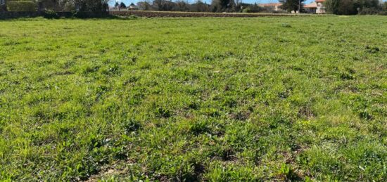 Terrain à bâtir à Tesson, Nouvelle-Aquitaine