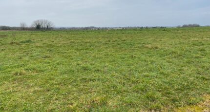 Taillebourg Terrain à bâtir - 2202154-11194annonce1202506234JcKf.jpeg Maisons France Confort