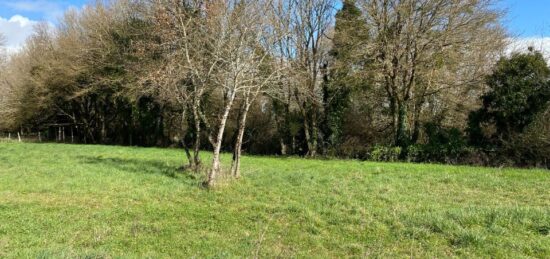 Terrain à bâtir à Saint-Vaize, Nouvelle-Aquitaine