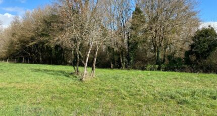 Saint-Vaize Maison neuve - 2202181-11194annonce120250623uTiq3.jpeg Maisons France Confort