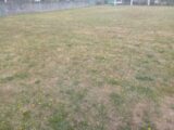 Terrain à bâtir à Mios (33380) 2202459-11244annonce320250624O2rKG.jpeg Maisons France Confort