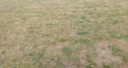 Mios Maison neuve - 2202478-11244annonce2202506243mlVC.jpeg Maisons France Confort