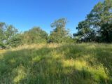 Maison à construire à Villefranche-de-Lauragais (31290) 2199881-11450annonce120250620G0Q0U.jpeg Maisons France Confort