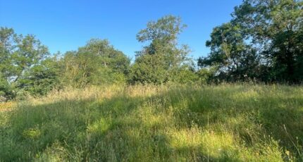 Villefranche-de-Lauragais Maison neuve - 2199881-11450annonce120250620G0Q0U.jpeg Maisons France Confort