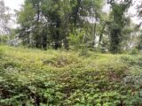 Terrain à bâtir à Cravent (78270) 2202645-10686annonce120250624UVlu0.jpeg Maisons France Confort