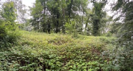Cravent Terrain à bâtir - 2202645-10686annonce120250624UVlu0.jpeg Maisons France Confort