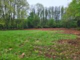 Terrain à bâtir à La Brède (33650) 2202704-10776annonce120250624gnxwF.jpeg Maisons France Confort
