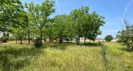 Villegailhenc Maison neuve - 2203430-10986annonce120250624lpf46.jpeg Maisons France Confort