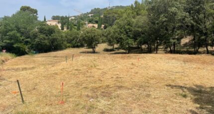Taradeau Terrain à bâtir - 2203475-10295annonce220250624ZpPh5.jpeg Maisons France Confort