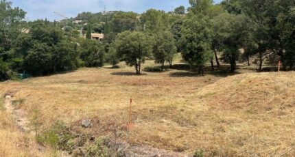 Taradeau Terrain à bâtir - 2203452-10295annonce220250624TtK5k.jpeg Maisons France Confort