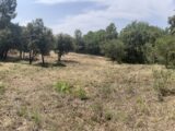 Terrain à bâtir à Taradeau (83460) 2203465-10295annonce320250624vNEAs.jpeg Maisons France Confort