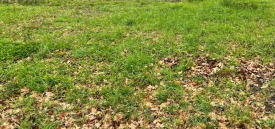 Terrain à bâtir à Biganos, Nouvelle-Aquitaine